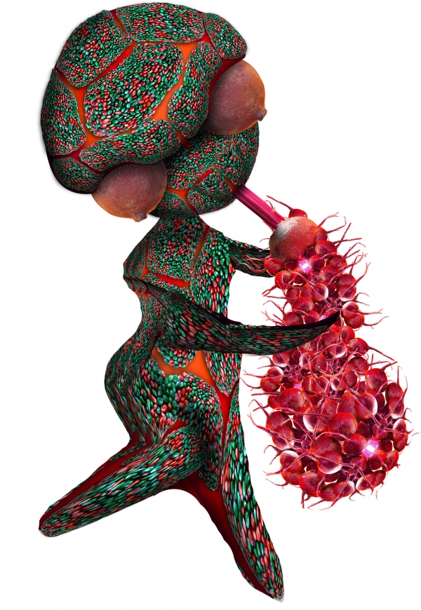 Creation of Corn Drinking Beets: Step 12